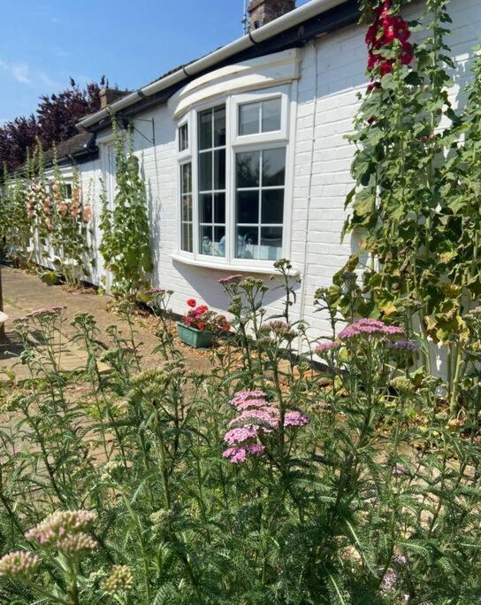 Field Cottage Whittlesey Exteriér fotografie