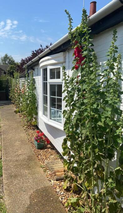 Field Cottage Whittlesey Exteriér fotografie